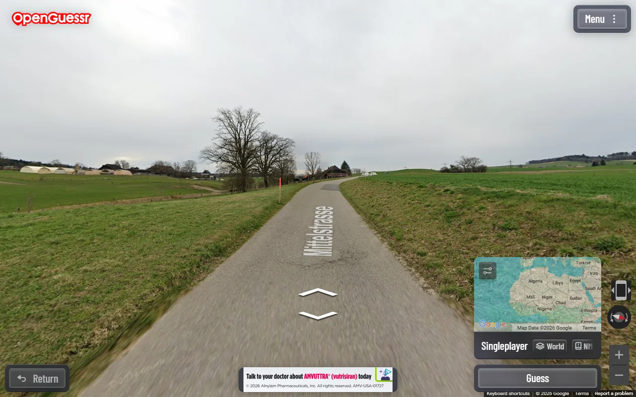An OpenGuessr NMPZ round in Switzerland with the road name Mittelstrasse painted on the road by Google's embed